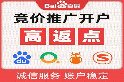 百度推广费用的投入与市场占有率提升的关联案例